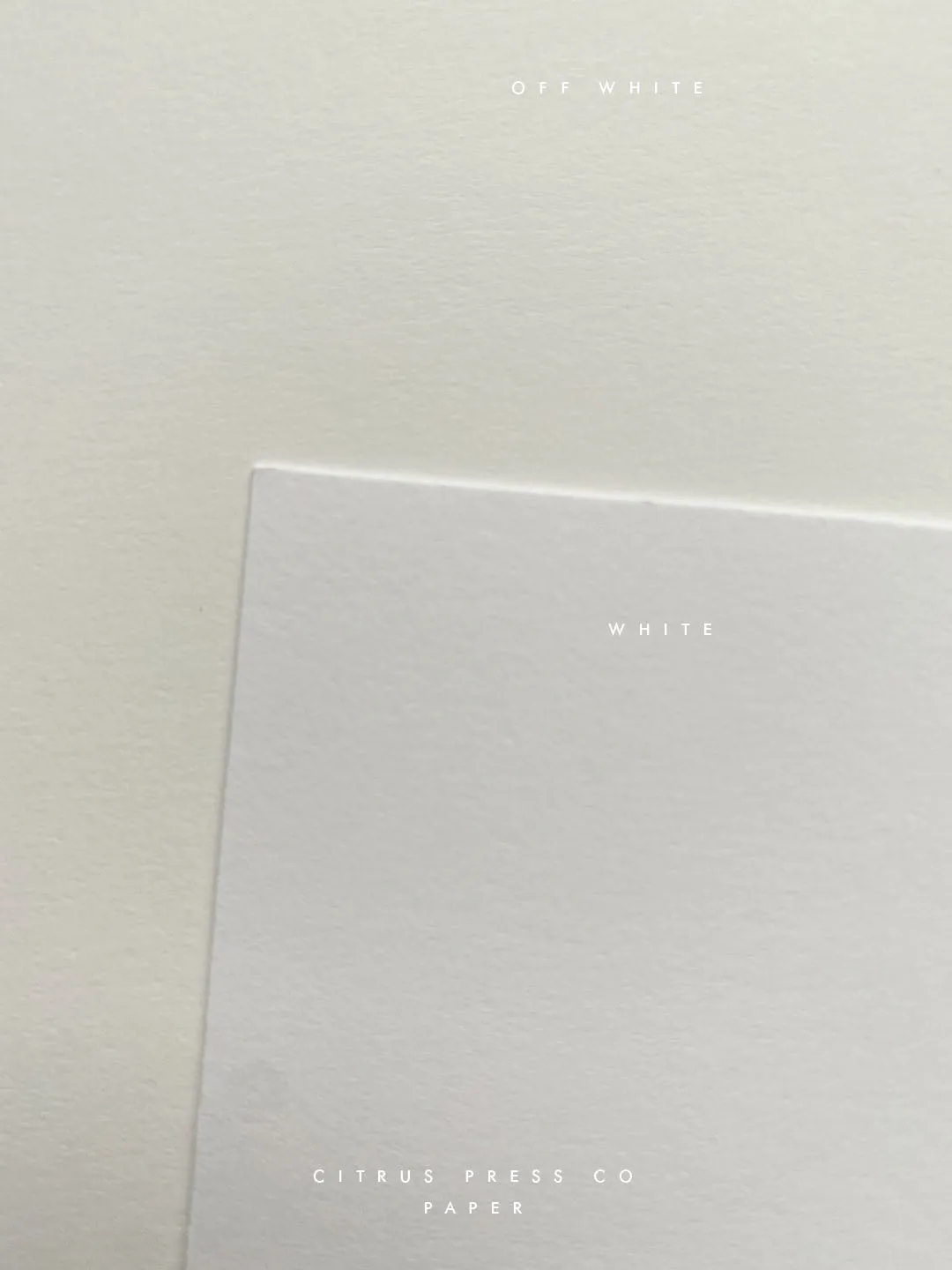 Modern Minimal Wedding Invitation | Georgia